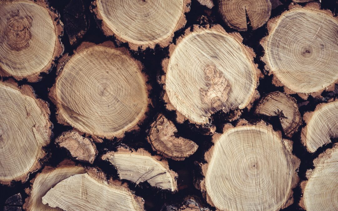 Commercio legno, nasce il registro nazionale per operatori